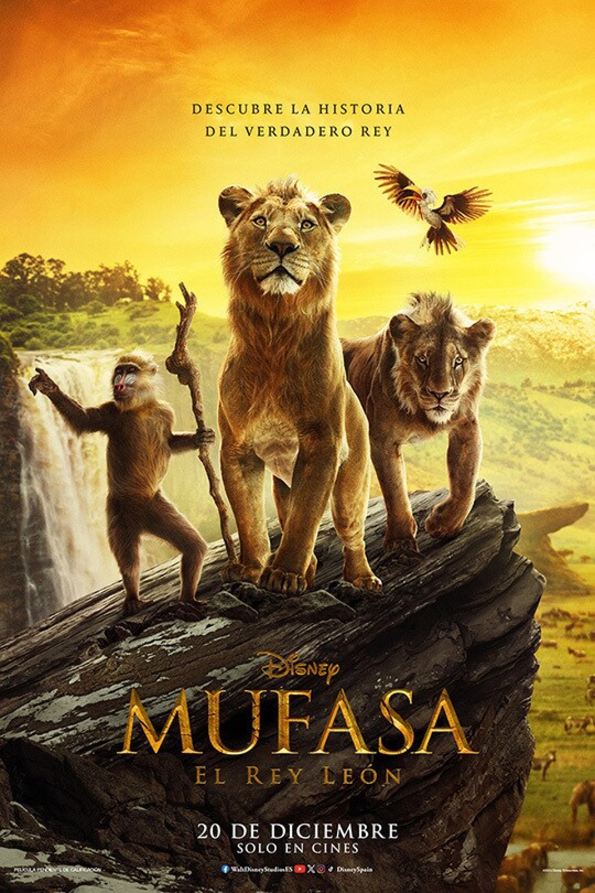 cartel MUFASA